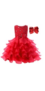 Flower Girl Tutu Dress