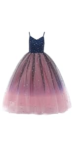 Princess Sparkle Tulle Dress