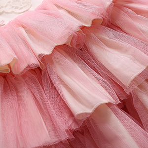 girl tutu dress