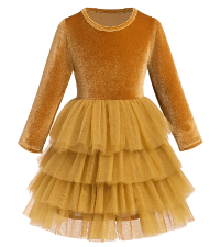 velvet gold tulle dress 