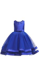 Blue Princess Puffy Dresses