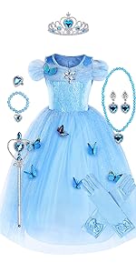 Princess Butterfly dress