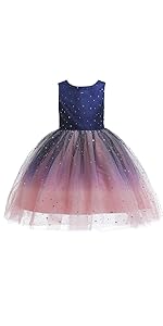 Princess Sparkle Tulle Dress