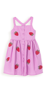 Strawberry Embroidered Dress