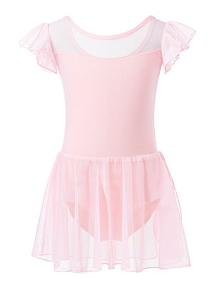 Dance Leotard for Girls Toddler Ballet Leotards with Skirt Flutter Sleeve Ballet Dress Dance Outfit