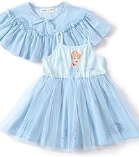 Disney Princess Dress