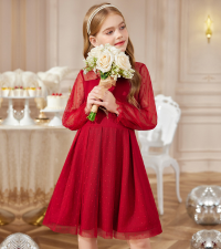 girls holiday dress