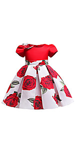 Flower Girls Floral Print Dress