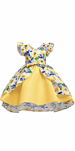 Girls Birthday Party Dress