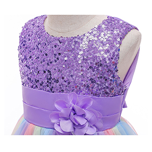 Girl Sequin Party Dress