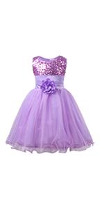 Girls Sequin Mesh Tull Dress