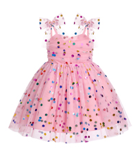 Girls Birthday Princess Dress for Toddler