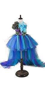 peacock costume