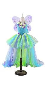 Fairy costume