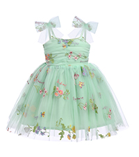 Girls Butterfly Birthday Dress