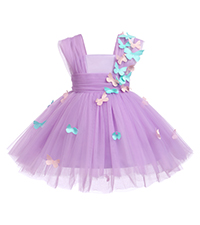 Girls Butterfly Birthday Dress for Toddler