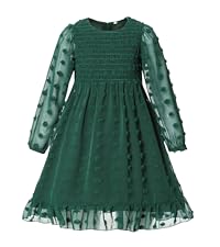 D-green Girls Chiffon Dress