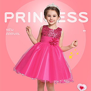 Flower Girls Sequin Party Dress