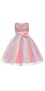 Flower Girls Sequin Party Rainbow Dress