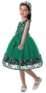 Embroidery Flower Tulle Tutu Dress for Girls 