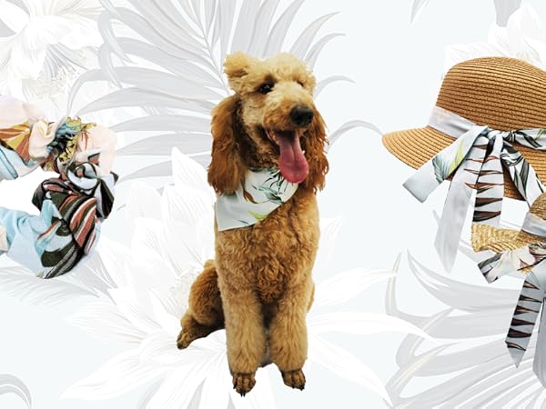 Pet Clothes &amp; Accessories