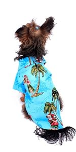 Pet Hawaiian Christmas Outfit