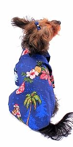 Pet Hawaiian Christmas Outfit