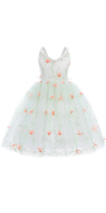 Flower Embroidery Girl Lace Tulle Dress 