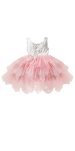 Little Girl Lace Flower Tutu Dress 