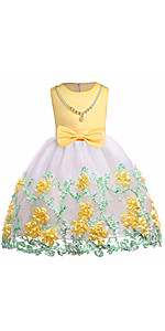 Flower Girl Lace Dress