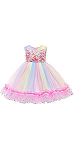 Flower Girls Lace Rainbow Dress