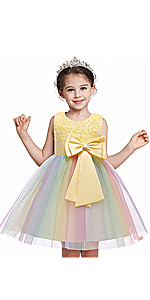 Flower Girls Rainbow Tulle Dress