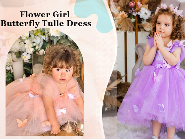 Toddler Girl Butterfly Tulle Dress Baby Fairy Dress