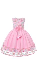 Girls Birthday Dress