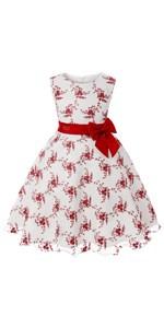 Girls Holiday Dress