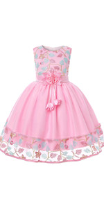 Girls Party Dress