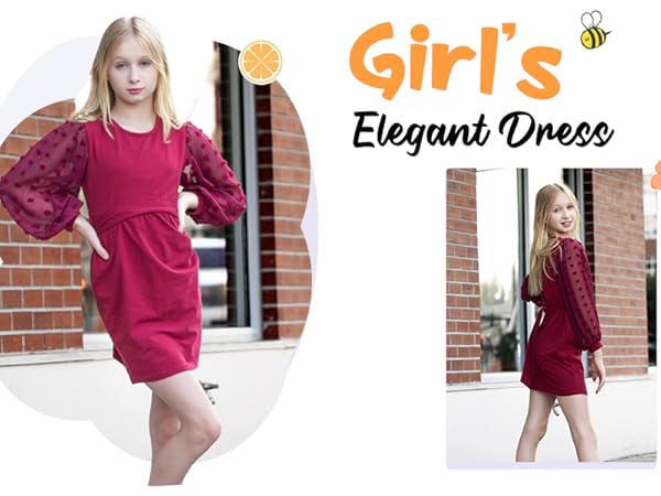 Girls Elegant Mesh Sleeve Dress