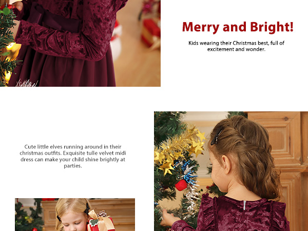 Christmas  Girls Velvet Ruffle Long Sleeve Tulle Midi Dress