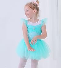 Girls Skirted Leotards Ballet Dance Tutu