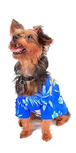 Dog Pet Hawaiian Shirt