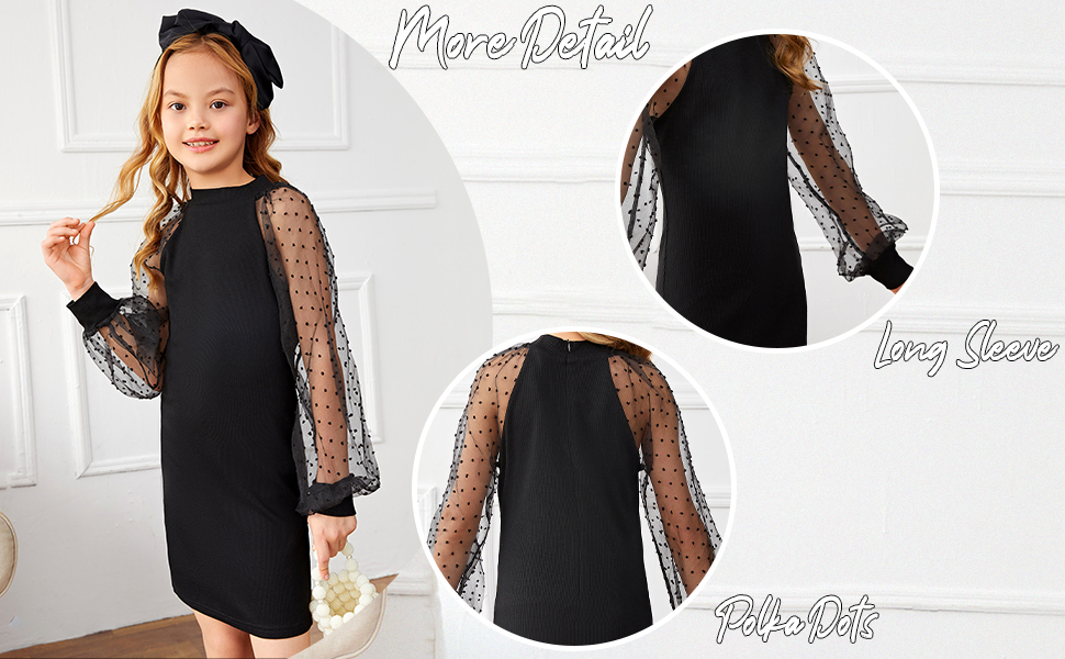 Girl''s Polka Dots Mesh Puff Long Sleeve Ruffle Hem A Line Dress