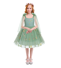 Girls Butterfly Birthday Dress