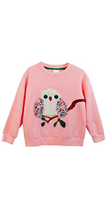 owl sweatshirt