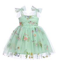 Baby Flower Embroidery Dress