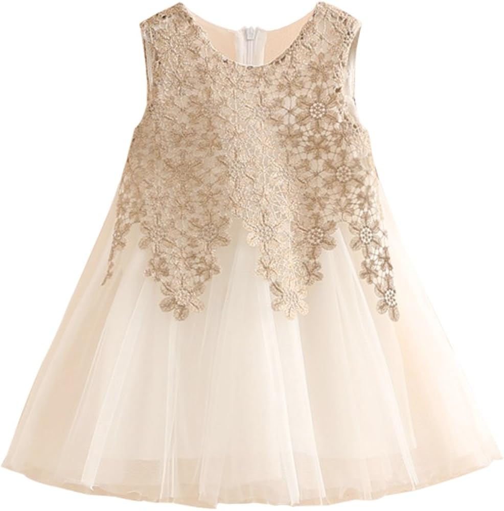 Mud Kingdom Toddler Girls Tulle Dress Sleeveless Sundress Fashion Embroidery Floral Gold 3T