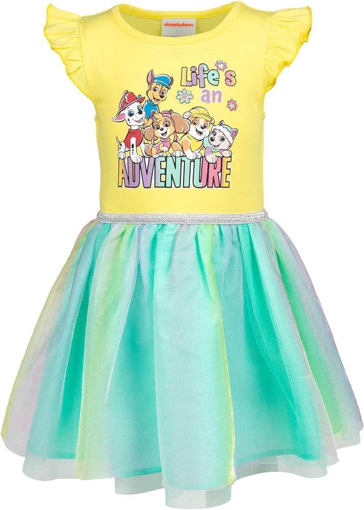 Paw Patrol Everest Rubble Marshall Chase Skye Girls Dress Toddler to Big Kid