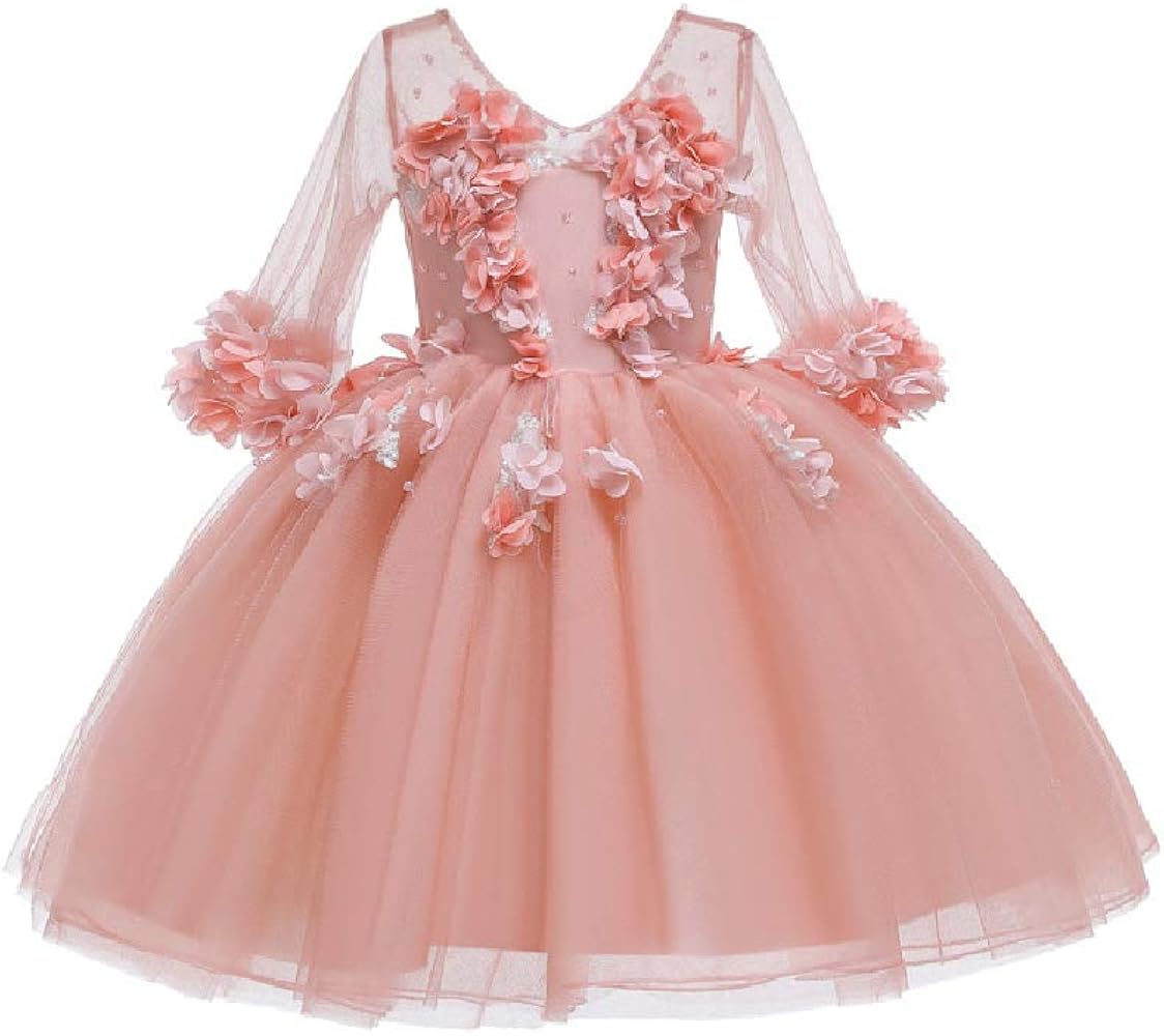 Quenny Girls' mesh Puffy Princess Evening Dress,Children's Catwalk Dress,Flowers Decoration Fairy Dresses. (Bean Paste Pink, m)