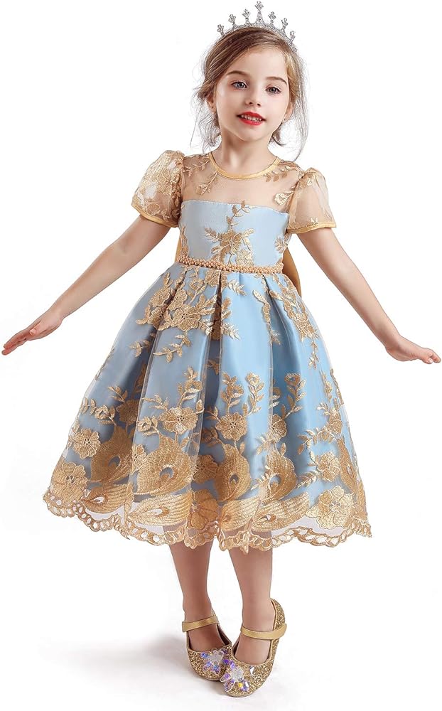 TTYAOVO Flower Girl Dress Princess Birthday Party Wedding Gown