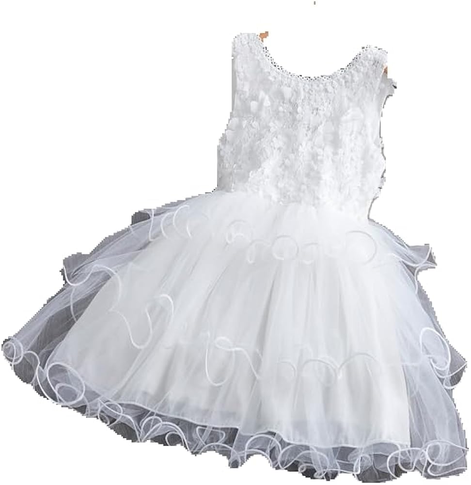 Kids Little Girls' Dress Flower Party Wedding Ruffle Tutu Mesh Embroidered White