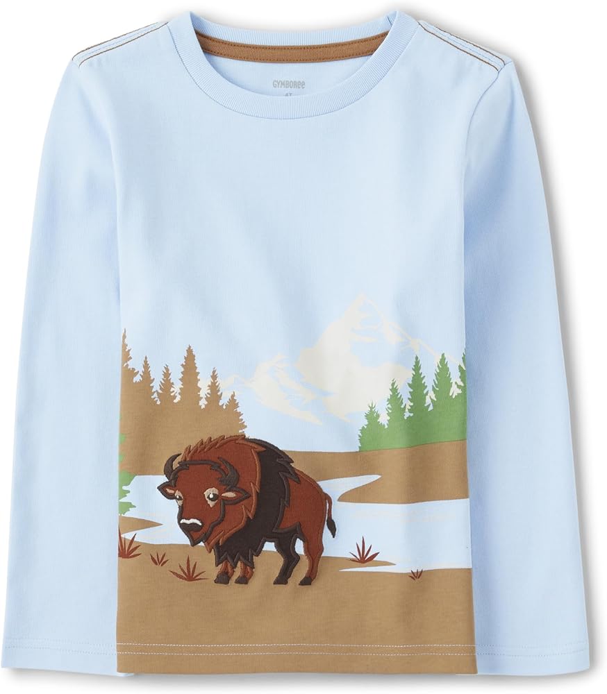 Gymboree Boys' and Toddler Embroidered Graphic Long Sleeve T-Shirts